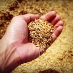 Geodeta na budowie – {kiedy jego pomoc jest niezbędna